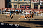 _DSC3108