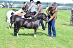 SBM_03516