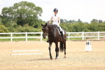 SBM_000981