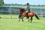 SBM_07933