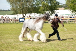 SBM_08578