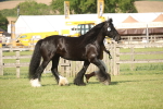 SBM_10373