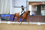 SBM_003911