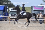 BPP_4740