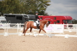 SBM_05953