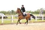 SBM_007815