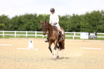 SBM_001481