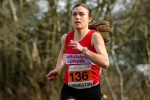 Livirelays25-929965