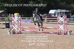 BPP_4294