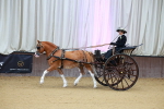 SBM_000035