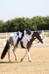 SBM_002808