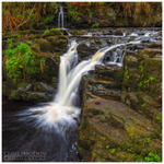 Glenariff Cascades (IMG1056)