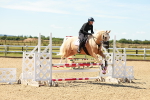 SBM_005543