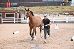 250716-130546-00326_Trot Up 1230 to 130