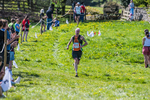The Finish-522