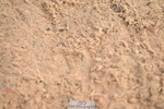 240720A-092809-13406