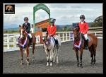 EQUISCOT 4421 GRAHAM SANDY  RORY