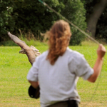 Falcon on a rapid approach to a falconer swinging some food on a line