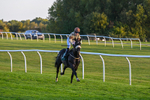 300926-Race 8-Jojo Rabbit-7174