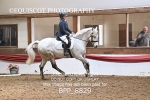 BPP_8829