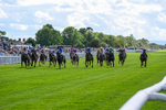 310526-Race 3-Al Hussar-8577