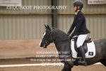 22ND FEB 2026 - DRESSAGE - WEST KYPE portfolio