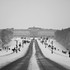 Dividing Line