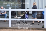 BPP_3851