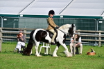 SBM_11578