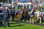 240824-Race 4-Magical Zoe-1111