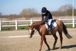 SBM_001993