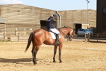 SBM_000268