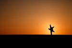 The Starfish Dance