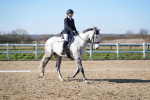 SBM_003272