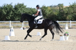 SBM_020191