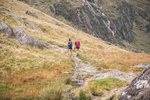 Peris Horseshoe-1027