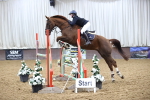 SBM_008181