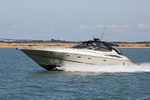 160826 GOLD SUNSEEKER Y92A6228