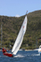 Neko - DSC_0194