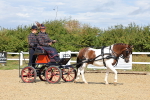 SBM_000874