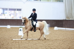 SBM_004308