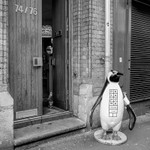 Penguin OK