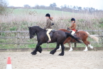 SBM_007246