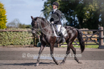 Dressage_29-09-2018-6