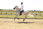 SBM_001737