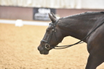 SBM_010280