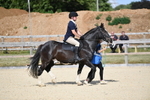 WJ5_7596