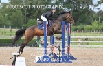 BPP_0452