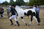 WJ6_8103