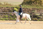 SBM_009306
